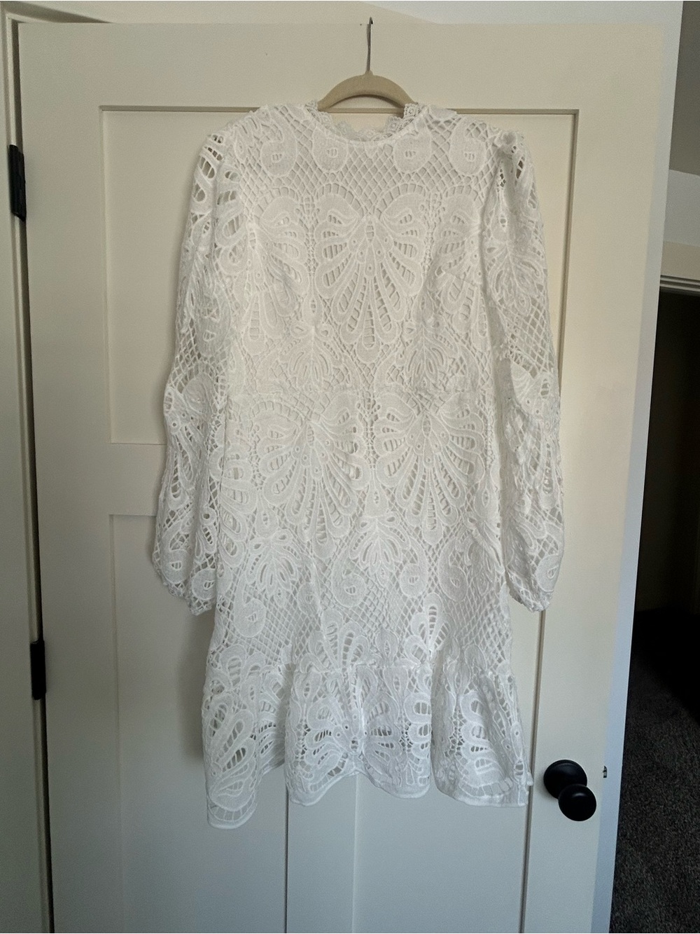 White Lace Long-Sleeve Mini Dress